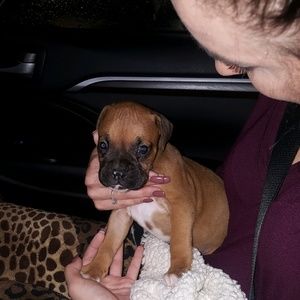 Meet your Posher, Sara